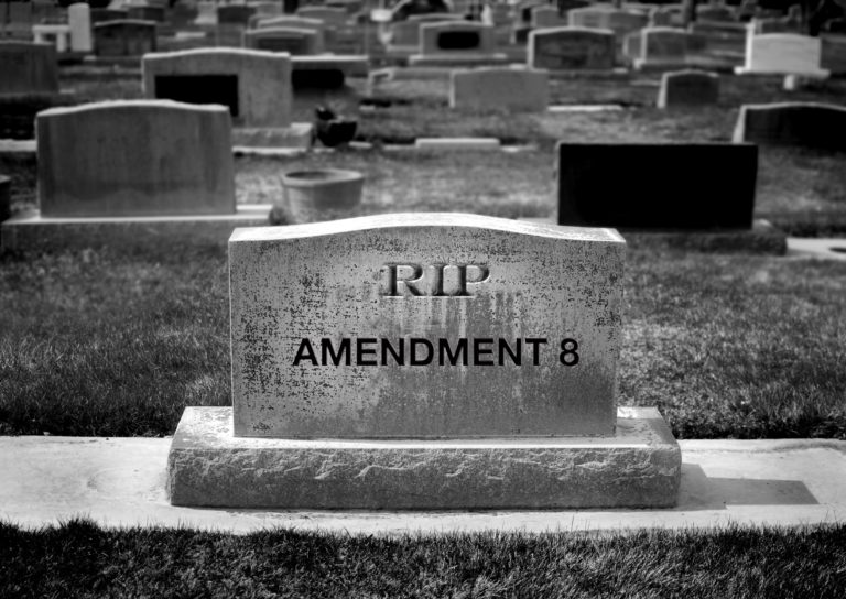 Supreme Court Opinion: Amicus Briefs Sealed Amendment 8’s Fate